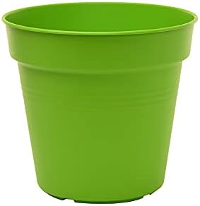 Mintra Home Garden Pots 4pk - Flowers, Herbs, Plants, Indoor, Outdoor, Colorful, Wholesale, Bulk (Light Green, 15cm Diameter (5.9in))