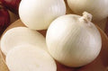 Onion White Sweet Spanish Bulk 5,000 Seeds Great Heirloom Vegetable