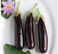 Generic Fresh 100pcs Eggplant Vegetable Seeds for Planting Purple 9