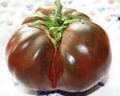 Generic Fresh 100pcs Tomato Vegetables Seeds for Planting Brown 3