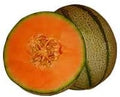 Generic Fresh 20pcs Cantaloupe Melon Fruit Seeds for Planting Red 1