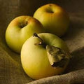 Generic Fresh 30pcs Apple Fruit Seeds for Planting Mixed