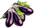 Generic Fresh 100pcs Eggplant Vegetable Seeds for Planting Dark Purple