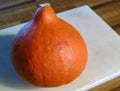 Japanese Heirloom Red Kuri Hokkaido Squash Seed by Stonysoil Seed Company 25 Certified Organic Seeds