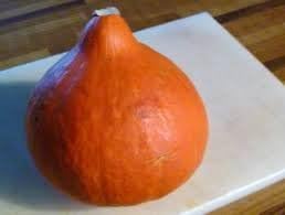 Japanese Heirloom Red Kuri Hokkaido Squash Seed by Stonysoil Seed Company 25 Certified Organic Seeds