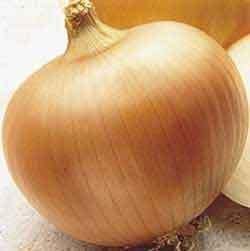 Onion Yellow Sweet Spanish Great Heirloom Vegetable Seeds (1 Oz Seeds)
