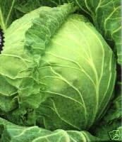 Cabbage Copenhagen Great Heirloom Vegetable by Seed Kingdom 2,000 Seeds