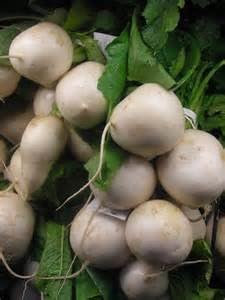 Turnip Seven Top Deer Food Plot Great Heirloom Vegetable by Seed Kingdom Bulk 5 Lb Seeds