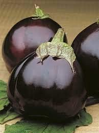 Generic Fresh 100pcs Eggplant Vegetable Seeds for Planting Dark Purple 1