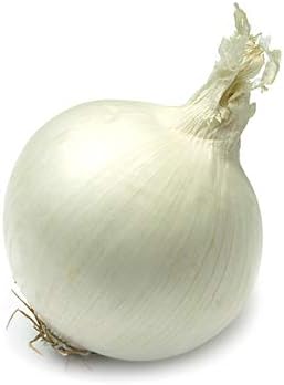 Onion White Queen Giant Seeds (Allium cepa) Heirloom Vegetable for Planting Non GMO