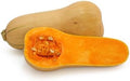 Squash Waltham Butternut Garden Heirloom Vegetable by Seed Kingdom (1 OZ Seeds)
