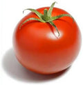 Tomato Siberian Great Heirloom Vegetable Seeds Bulk 500 Seeds