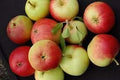 Generic Fresh 30pcs Apple Fruit Seeds for Planting Red Yellow 1
