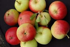 Generic Fresh 30pcs Apple Fruit Seeds for Planting Red Yellow 1