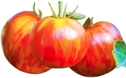 50+ Tigerella Tomato Seeds - Large Tomato - One of The Most Delicious Tomatoes for Home Growing, Non GMO - Neonicotinoid-Free.