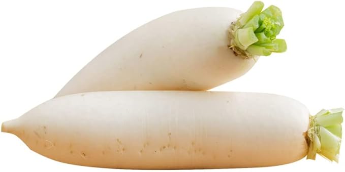 Todd's Seeds Japanese Minowase (Daikon) Radish Heirloom Seed - 10g Packet
