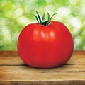 Park Seed Variety of Tomato Seeds, Planting Vegetables, Easy to Grow, Non-GMO, Perfect for Harvesting, Whopper CR Improved Hybrid, Pack of 250