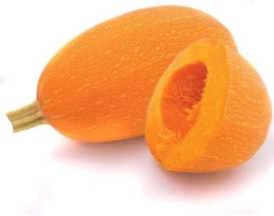 Orangetti Squash Seeds for Planting (10 Seeds) - Exotic and Hard to Find Pumpkin, Squash and Gourd Seeds - Vegetable Garden Seeds