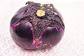 Generic Fresh 100pcs Eggplant Vegetable Seeds for Planting Purple 5