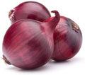 Todd's Seeds Ruby Red Long Day Onion Heirloom Seed - 2g Packet