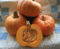 Pumpkin Sugar Pie Great Heirloom Vegetable by Seed Kingdom Bulk 500 Seeds