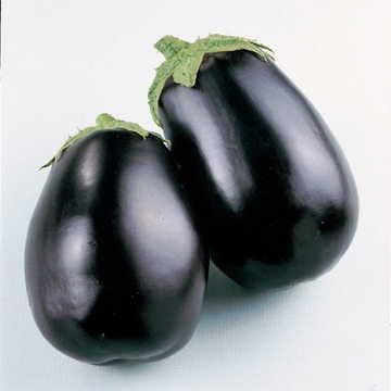 Park Seed Variety of Eggplant Vegetable Seeds, Plant Seeds, Easy to Grow, Perfect for Harvesting, Black Beauty, Pack of 30