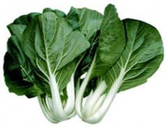 Cabbage PAK Choi White Stem Great Heirloom Vegetable by Seed Kingdom 400 Seeds