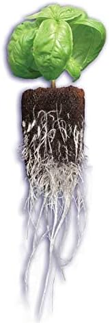 General Hydroponics Rapid Rooter, Starter Plug for Seeds or Cuttings, Great for Soil or Hydroponics Growing System, 100 Plugs