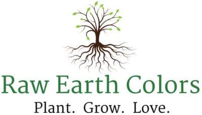 Flower Seeds for Planting Outdoors Perennials in Full Sun or Indoor in Pots Variety Pack - Coneflower Purple - Shasta Daisy - Black Eyed Susan!