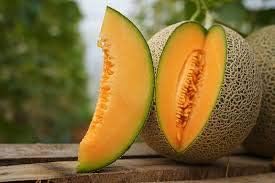 Generic Fresh 20pcs Cantaloupe Melon Fruit Seeds for Planting Light Orange