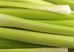 Celery Golden Pascal Great Heirloom Vegetable Seeds by Seed Kingdom (3,000 Seeds)