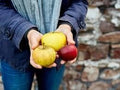 Generic Fresh 30pcs Apple Fruit Seeds for Planting Red Yellow 2