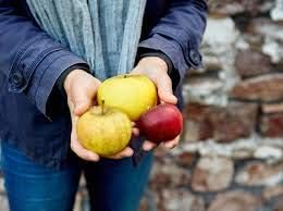 Generic Fresh 30pcs Apple Fruit Seeds for Planting Red Yellow 2