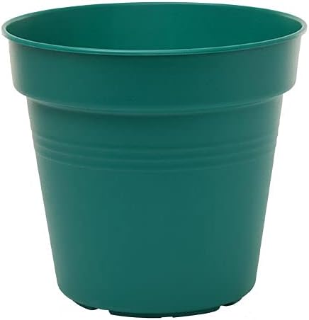 Mintra Home Garden Pots 4pk - Flowers, Herbs, Plants, Indoor, Outdoor, Colorful, Wholesale, Bulk (Forest Green, 11cm Diameter (4.3in))