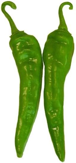Hatch Green Medium Big Jim Chile Seeds from New Mexico - 30 Non-GMO Seeds