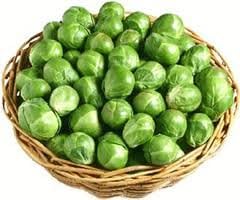 Brussel Sprouts Long Island Improved Great Heirloom Vegetable by Seed Kingdom Bulk 20,000 Seeds