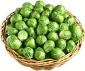 Brussel Sprouts Long Island Improved Great Heirloom Vegetable by Seed Kingdom Bulk 1 Lb Seeds