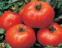 Tomato Ace 55 Great Heirloom Garden Vegetable Seeds by Seed Kingdom Bulk 3,000 Seeds