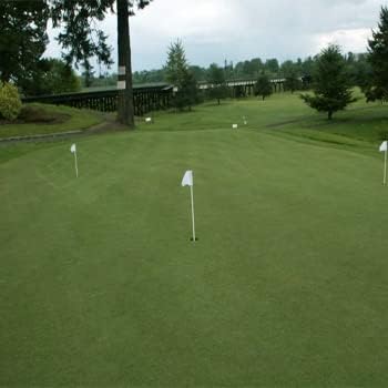 Outsidepride True Putt Perennial Creeping Bluegrass Seed - 1 Lb. Shade-Tolerant Bluegrass for Golf Courses & Home Putting Greens - Ideal for Dense, Fine-Textured Lush Turf in Low-Light Areas