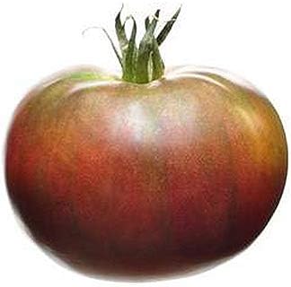 Black Krim Tomato Seeds - Heirloom Large Tomato - One of The Most Delicious Tomatoes for Home Growing,