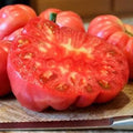 Park Seed Variety of Tomato Seeds, Planting Vegetables, Easy to Grow, Non-GMO, Perfect for Harvesting, Pink Delicious Tomato, Pack of 15