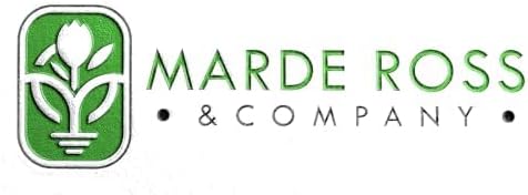 50 English Bluebell Bulbs - Hyacinthoides Non-scripta, Classic Woodland Spring Flowers, Ideal for Naturalizing and Shade Gardens