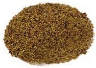 Red Clover, Microgreen for Sprouting, Red Clover Sprouting Seeds - 4 Ounces, Resealable Bag, Sprouts, Microgreens, Gardening, Food Storage Product Name