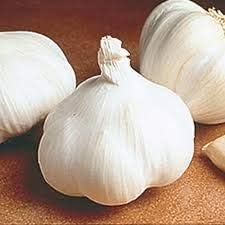 Generic Fresh 100 pcs Garlic Vegetable Seeds for Planting White 3