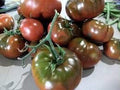 Generic Fresh 100pcs Tomato Vegetables Seeds for Planting Brown 1