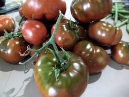 Generic Fresh 100pcs Tomato Vegetables Seeds for Planting Brown 1