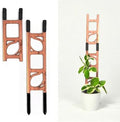Treleaf Stella Regular Extension Kit - Wooden Extendable Plant Trellis for Indoor Climbing Houseplants - Modular Plant Support