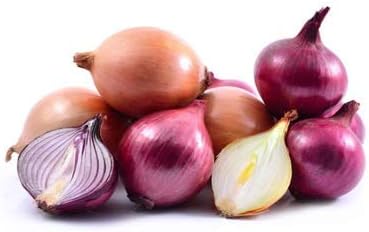 KIRA SEEDS - Seeds Onion Mix - Neutral Day - Heirloom Vegetable - GMO Free
