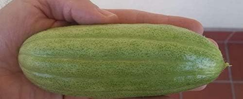 NIKA SEEDS - Seeds Vegetable Cucamelon (Cross Cucumber and Melon) Vine - 20 Seeds