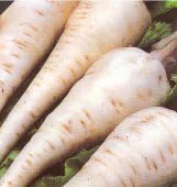 Parsnip Harris Model Great Heirloom Vegetable by Seed Kingdom 3,000 Seeds